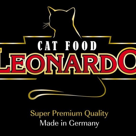 logo leonardo