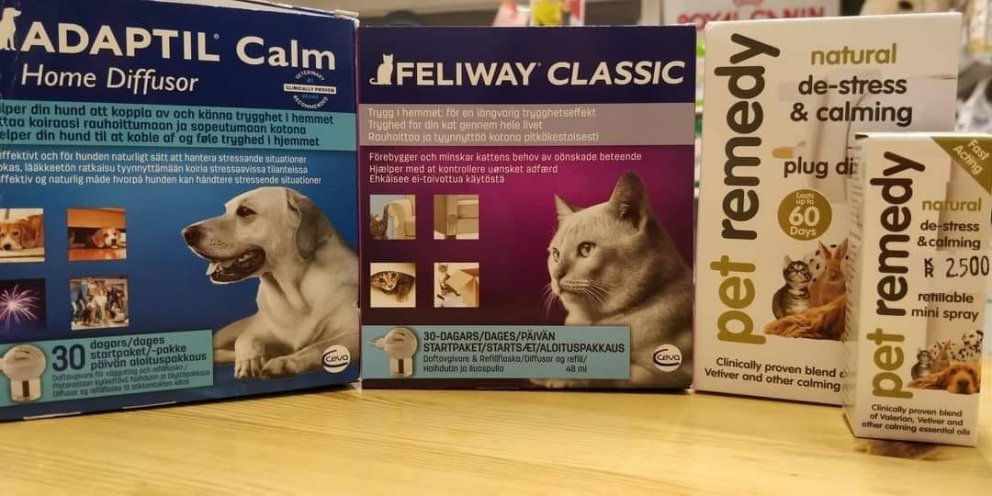 Gæludýr - Undirbúningur fyrir áramót