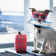 Skert þjónusta í næstu viku.